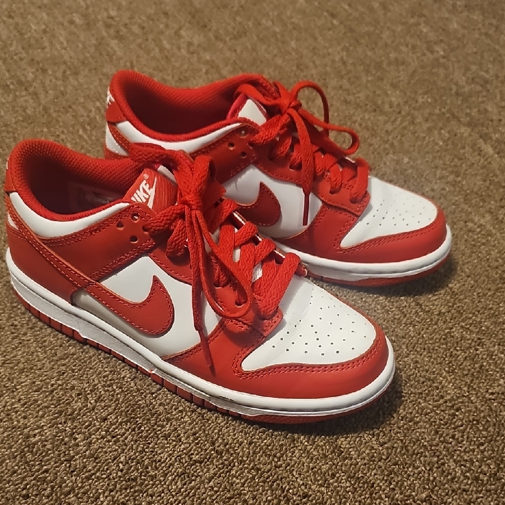 Nike Dunks kids